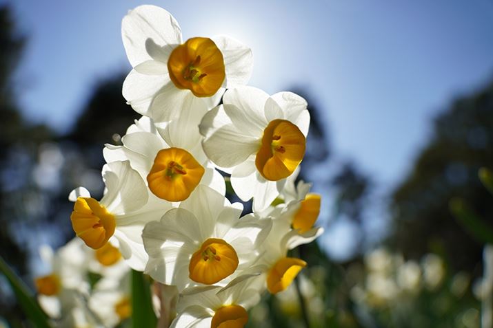 6400A17-70mm F/2.8 Di III-A VC RXDA17mmi35mmZ25.5mmjAF2.8A1/3200bAISO100AzCgoXFI[gANGCeBuX^CFX^_[hADWIveB}CU[FI[gAcȎ␳FI[gA{F␳FI[gAӌ␳FI[gAJPEGBeʐ^i6000×4000A10.8MBj