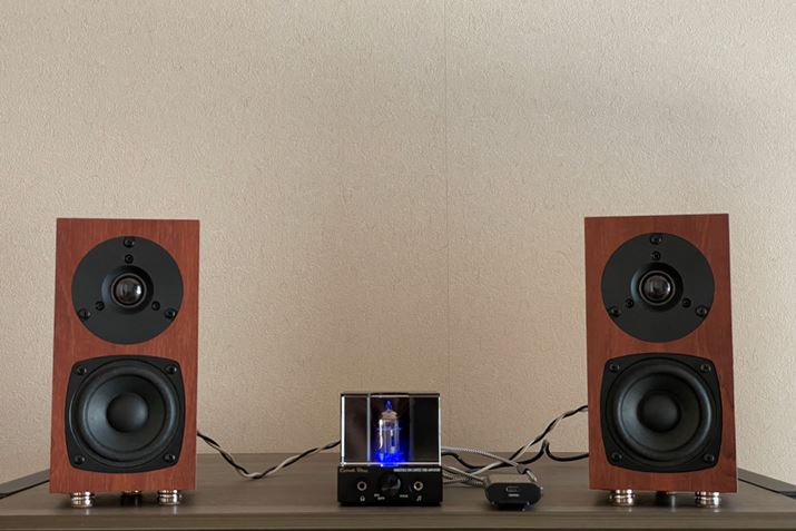 ̃Xs[J[uFOSTEX P802-SvŎ