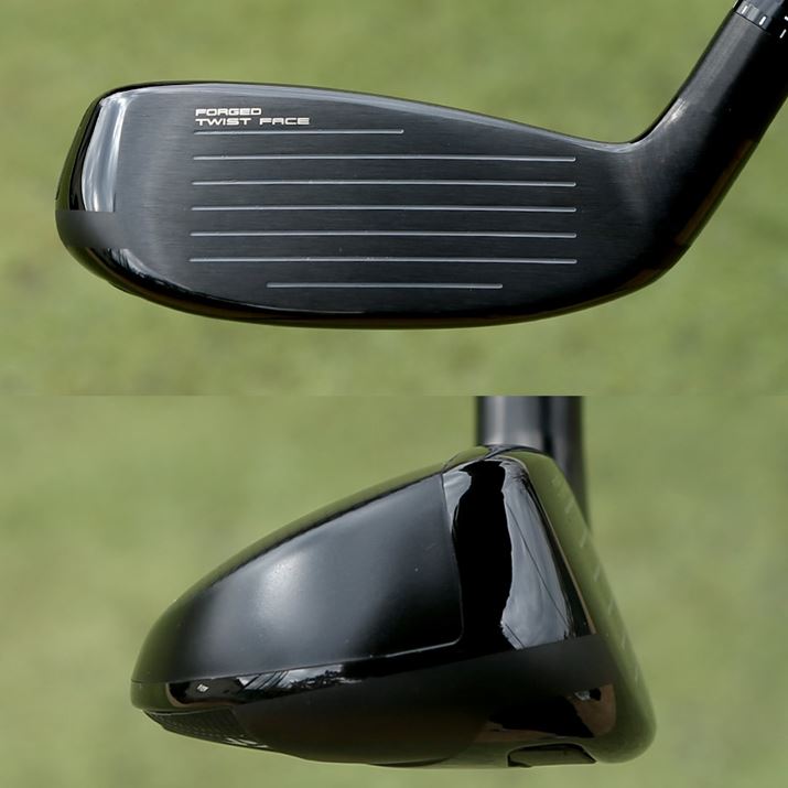 tF[Xfނɂ͍x̃}[WO|gpB~Xqbg̋Ȃ}邨Ȃ݁utH[WhcCXgtF[XvAtF[X̍GALuђʌ^Xs[h|Pbgv𓋍ڂĂ܂