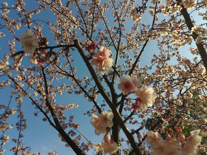 IWi摜i4160×3120A5.37MBj