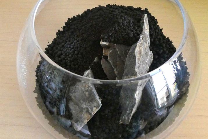 cy΂̔wɗ݂܂Bu݂ȃC[Wł