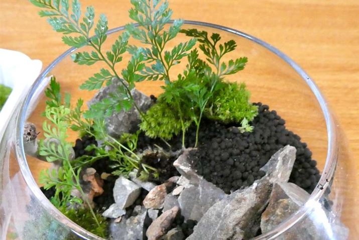 Vmu͕t̓yꂢɐėƂA̊ɕēyɍނ悤ɔzuĂ܂