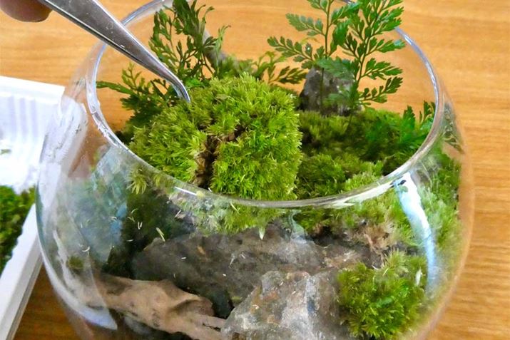 ăz\oILiSPzuBsZbgł܂ŁAۓmdȂȂ悤ɕ~l߂Ă܂