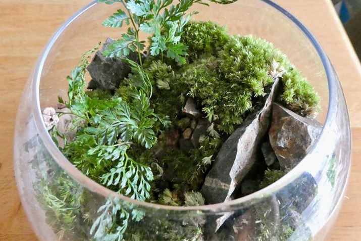 10̑ۃeEłBە\ʂɂ┒̂oĂ܂܂