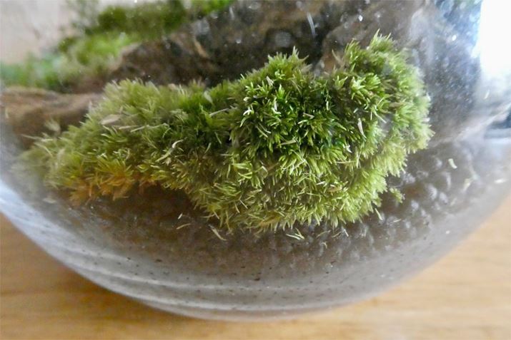 ܂AƂŋC̂łAۂyɕtĂȂ̂_݂łBsZbgȂǂł艟܂傤