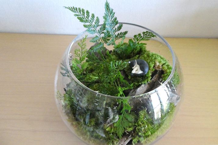 pxɂđۂ̕\ς̂ył