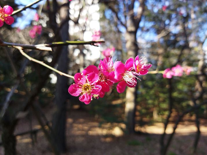 ftHgł́ACJł1200fɐݒ肳Ă܂A4800f[hɕύX邱ƂŁAg~Oϐׂ̋Ȏʐ^Beł܂BAf[^120MBx̗eʂɂȂ܂