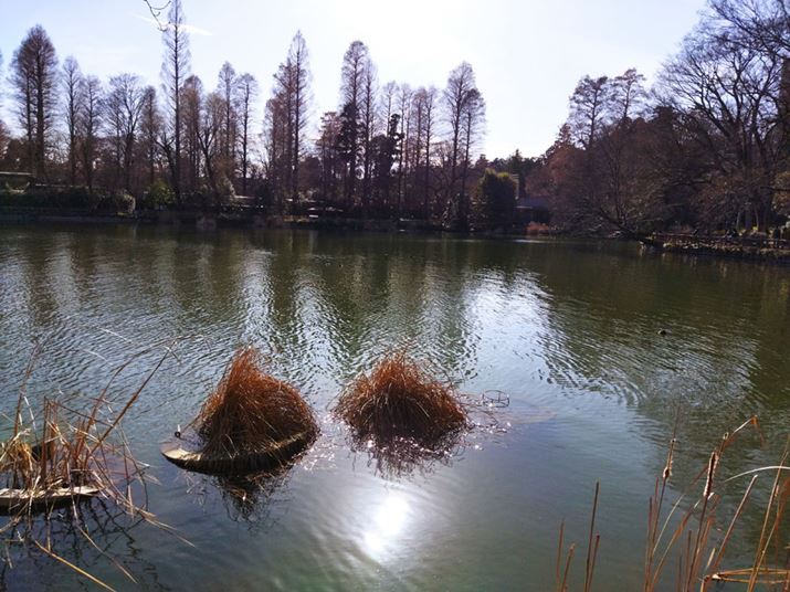 zɌċtŎBe1BHDŘʂ͂ƂĂƂ킯ł͂܂BnCGhfƔׂƕ܂񂪁AiX}zƂĂ͖ł郌xł