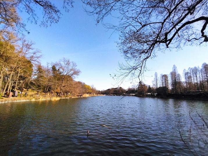 CJƔׂƉ掿͗̂́A͂肠֗ȒLpJBiX}złڂĂ̂͂肪