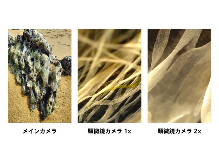 J́A30{܂60{̊gBeɑΉBX}[gtH̃JƂ͎vȂ悤ȃ~NȎBe\ɂȂ