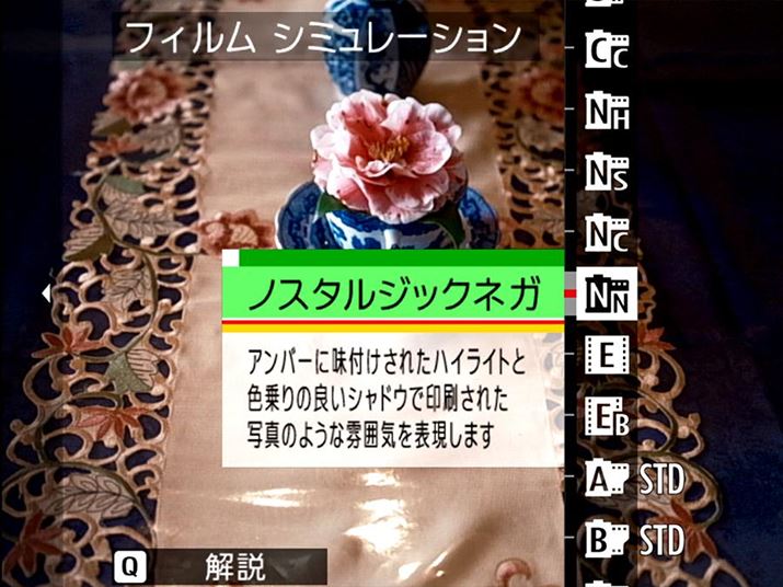 dオݒutBV~[Vvɂ́A1970N㔼ɋNJ[ʐ^̃[uguj[EJ[v̐FČumX^WbNlKvǉꂽ