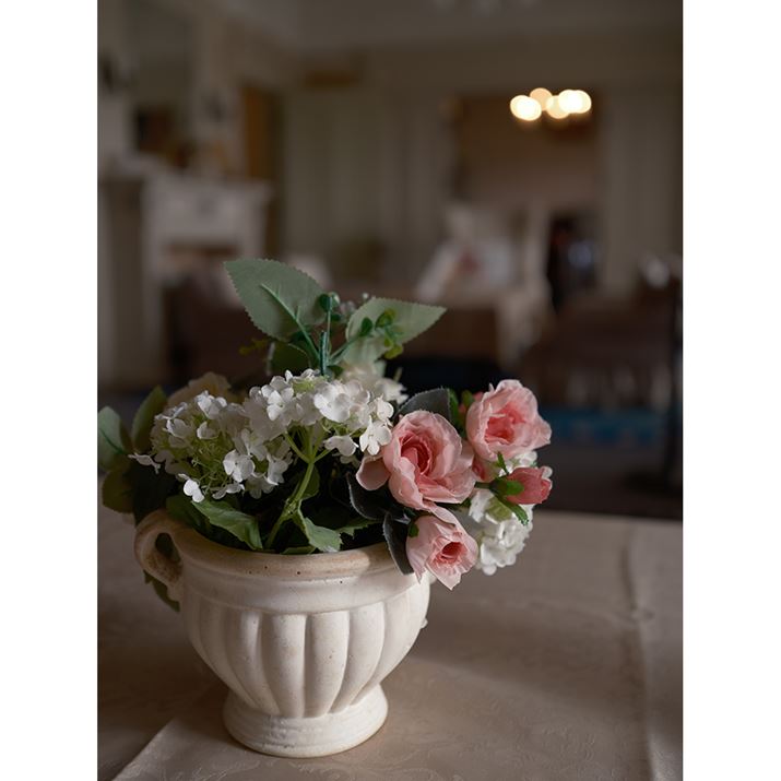 GFX100SAGF50mmF3.5 R LM WRA50mmi35mmZ40mmjAISO400AF3.5A1/100bAzCgoXFI[giR:+2AB:-3jAVhEg[F-2AJ[F-2AtBV~[VFmX^WbNlKA_Ci~bNWF100AJPEGBeʐ^i8736×11648A45.7MBj