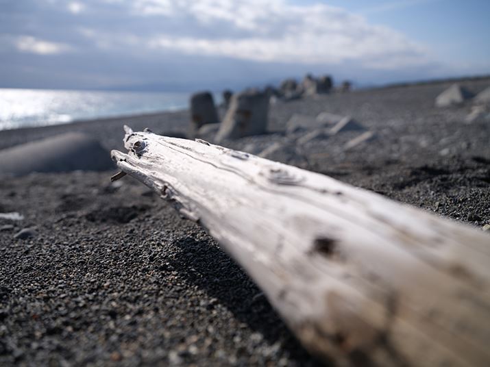 GFX100SAGF32-64mmF4 RA32mmi35mmZ25mmjAISO100AF4A1/1100bAzCgoXFI[gAtBV~[VFPROVIA/X^_[hA_Ci~bNWF100AJPEGBeʐ^i11648×8736A37.7MBj