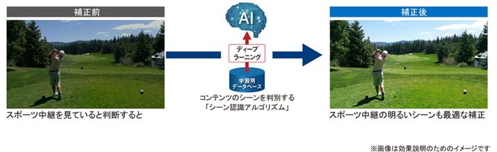 AIV[ƂɐFPxAfBe[œKɒ邱ƂŁAǂȃRec掿Ɋy߂̂