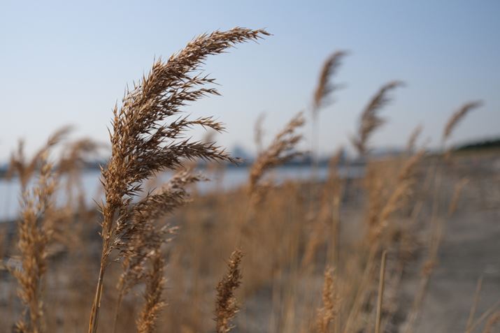 X-E4AXF27mmF2.8 R WRA27mmi35mmZ41mmjAISO160AF2.8A1/4700bAzCgoXFI[gAtBV~[VFPROVIA/X^_[hA_Ci~bNWF100AJPEGBeʐ^i6240×4160A11.2MBj