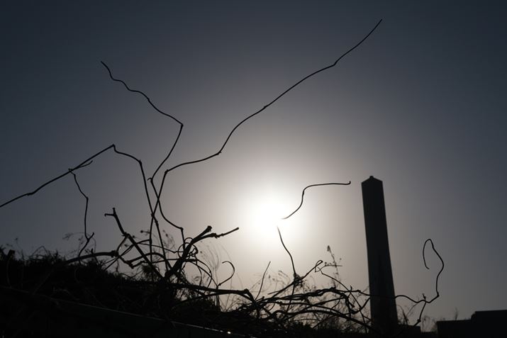 X-E4AXF27mmF2.8 R WRA27mmi35mmZ41mmjAISO160AF11A1/2200bAzCgoXFI[gAtBV~[VFPROVIA/X^_[hA_Ci~bNWF100AJPEGBeʐ^i6240×4160A12.3MBj