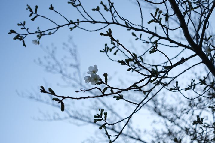 X-E4AXF27mmF2.8 R WRA27mmi35mmZ41mmjAISO160AF2.8A1/1300bAzCgoXFI[gAtBV~[VFPROVIA/X^_[hA_Ci~bNWF100AJPEGBeʐ^i6240×4160A10.7MBj