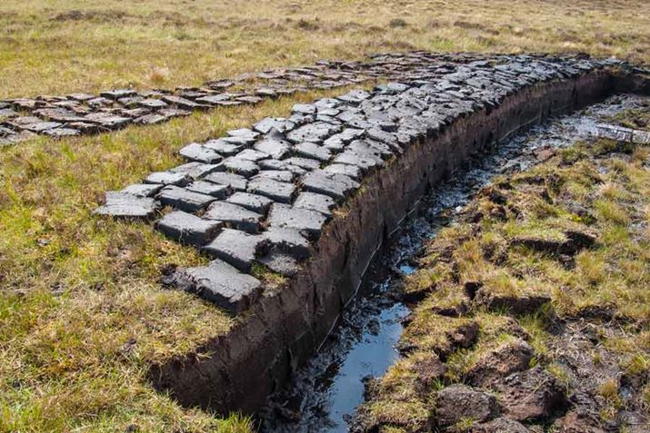 XRbghL̃s[giDYBAȂǂN͐ςčꂽŸjBnɂ͂Ȃ̃s[gRƂĔ邽߁AXRb`ECXL[ɂ̓s[g悤ȓƓ̕܂܂