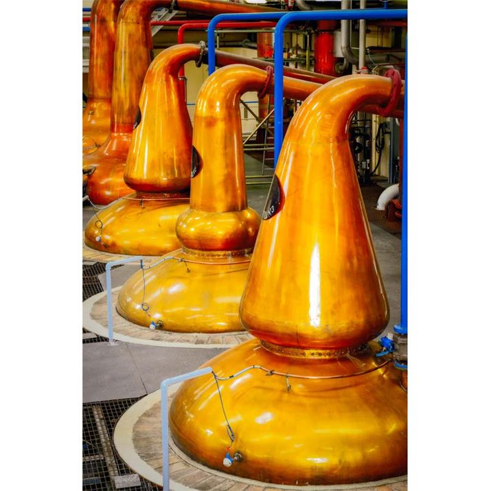 XRb`ECXL[̏B𓜉Eyč`ɁAMď邱ƂŁAECXL[̌܂