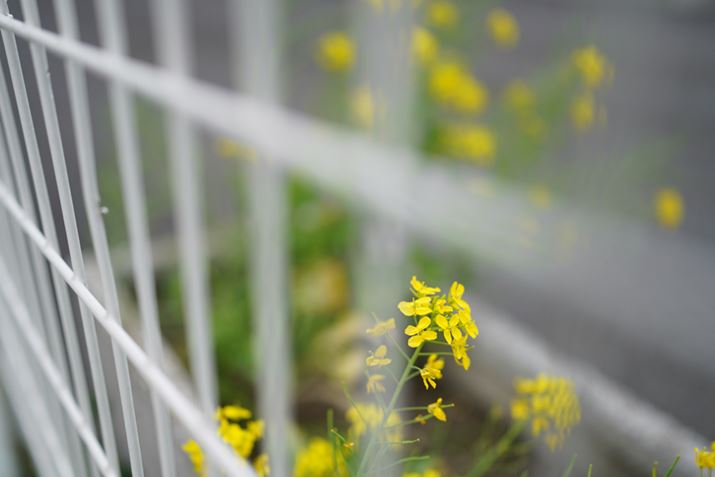 7R IVAFE 35mm F1.4 GMAF1.4A1/500bAISO100AzCgoXFI[giDݒF͋CDjANGCeBuX^CFX^_[hADWIveB}CU[FI[gAcȎ␳F؁A{F␳FI[gAӌ␳FI[gAJPEGBeʐ^i9504×6336A27.1MBj