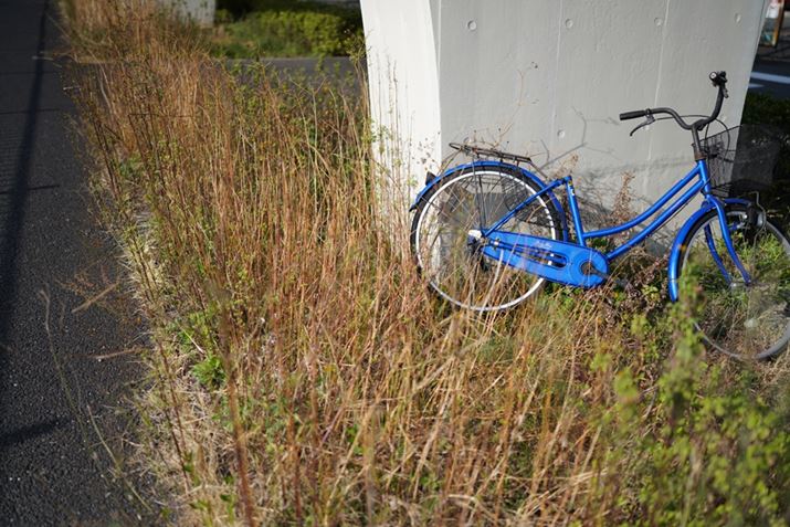 7R IVAFE 35mm F1.4 GMAF1.4A1/8000bAISO100AzCgoXFI[giDݒFWjANGCeBuX^CFX^_[hADWIveB}CU[FI[gAcȎ␳F؁A{F␳FI[gAӌ␳FI[gAJPEGBeʐ^i9504×6336A46.5MBj