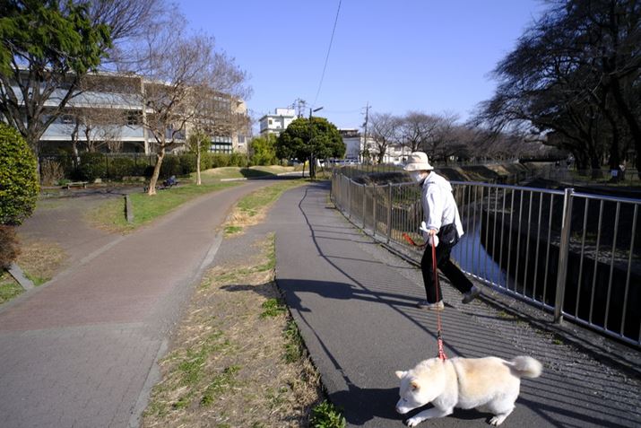 PɏoĎUIɋ߂ÂB삯ĂuԂ1