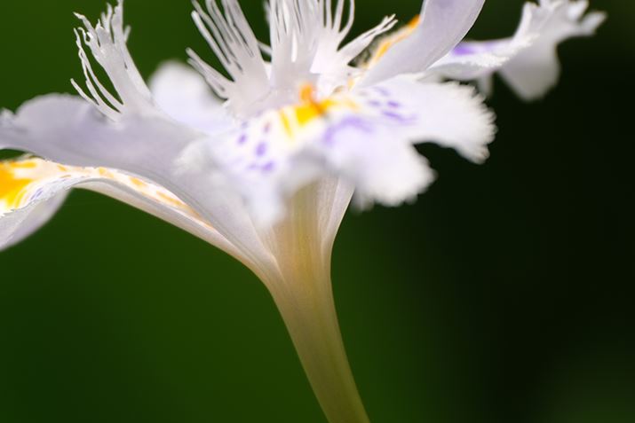 X-S10AXF70-300mmF4-5.6 R LM OIS WRAeRo[^[ XF2X TC WRgpA600mmi35mmZ914mmjAISO160AF11A1/150bAzCgoXFI[gAtBV~[VFPROVIA/X^_[hAJPEGBeʐ^i6240×4160A9.8MBj