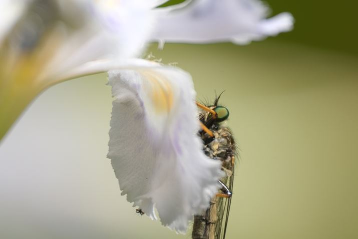 X-S10AXF70-300mmF4-5.6 R LM OIS WRAeRo[^[ XF2X TC WRgpA600mmi35mmZ914mmjAISO500AF11A1/240bAzCgoXFI[gAtBV~[VFPROVIA/X^_[hAJPEGBeʐ^i6240×4160A10.0MBj