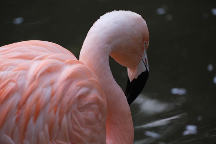 X-S10AXF70-300mmF4-5.6 R LM OIS WRA300mmi35mmZ457mmjAISO400AF6.4A1/200bAzCgoXFI[gAtBV~[VFPROVIA/X^_[hA_Ci~bNWF100AJPEGBeʐ^i6240×4160A10.8MBj