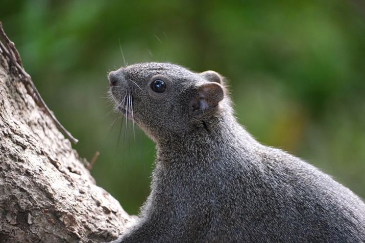 X-S10AXF70-300mmF4-5.6 R LM OIS WRA300mmi35mmZ457mmjAISO6400AF5.6A1/500bAzCgoXFI[gAtBV~[VFPROVIA/X^_[hA_Ci~bNWF100AJPEGBeʐ^i6240×4160A15.7MBj