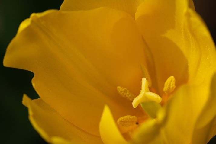 X-S10AXF70-300mmF4-5.6 R LM OIS WRA300mmi35mmZ457mmjAISO400AF8A1/900bAzCgoXFI[gAtBV~[VFPROVIA/X^_[hA_Ci~bNWF100AJ[N[EGtFNgFAJPEGBeʐ^i6240×4160A13.7MBj