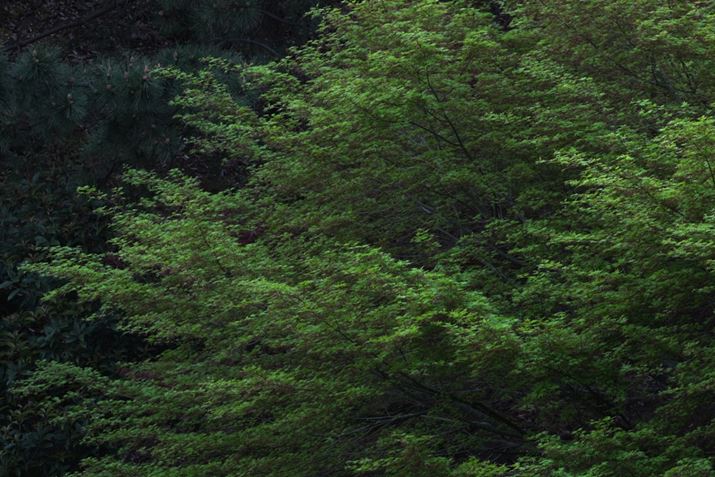 X-S10AXF70-300mmF4-5.6 R LM OIS WRA185mmi35mmZ282mmjAISO160AF11A1/15bAzCgoXFI[gAtBV~[VFPROVIA/X^_[hA_Ci~bNWF100AJPEGBeʐ^i6240×4160A17.5MBj