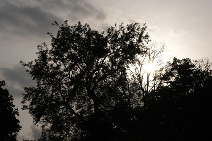 X-S10AXF70-300mmF4-5.6 R LM OIS WRA70mmi35mmZ107mmjAISO160AF16A1/680bAzCgoXFI[gAtBV~[VFPROVIA/X^_[hA_Ci~bNWF100AJPEGBeʐ^i6240×4160A13.5MBj