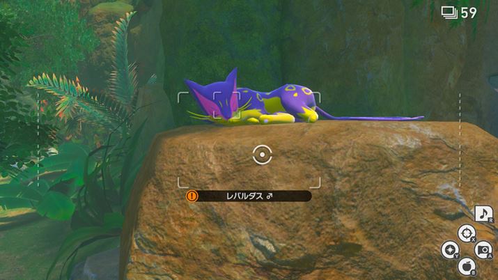 Q̃p_XʁI ʂŁAA傫Bƍ]ɂȂ₷߁AT͉ʂڂ܂