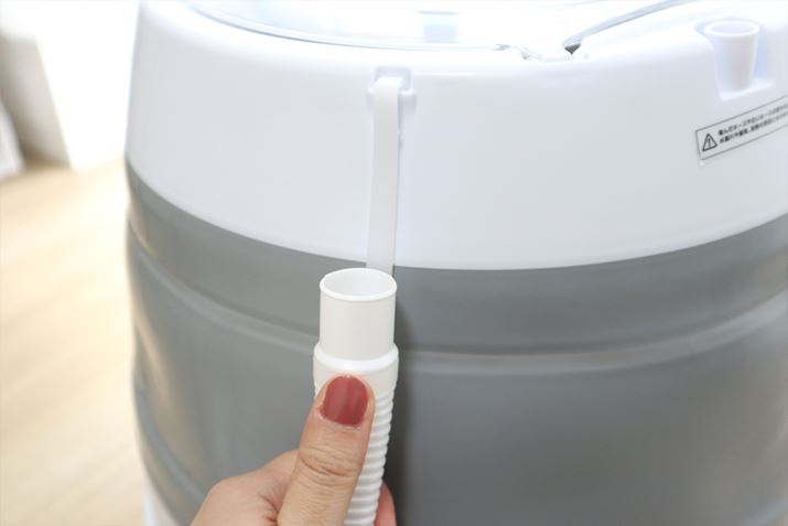 Е͖{̏㕔ɂЂ̂łЂĂ܂