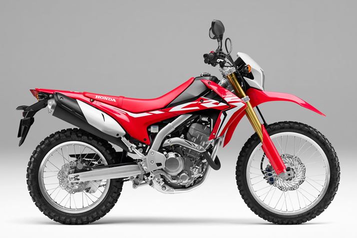 ԑ̂[_EuCRF250L Type LDv̓oɂAɃI[h̃}VłƈۂȂĂ