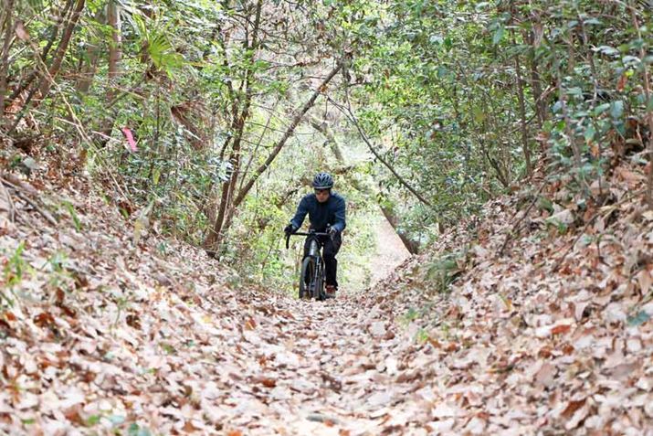 Γx̂oȂBt̑Hʂ͊₷Aقǃ^C邱ƂȂꂽ̂ŁAObv\ȂȂۂ