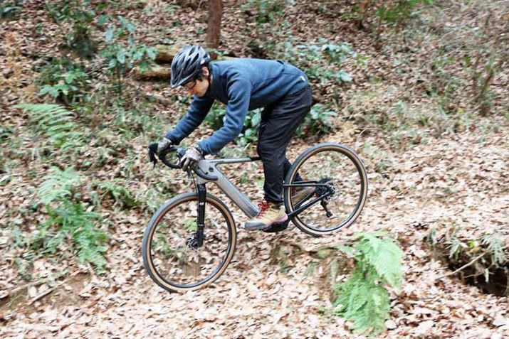 傫߂̒iłAn̏Ռ̓TXyVŐ▭ɊɘaBڂ͌q邪AɁArVbNz悤ɓ΁Aقǂ̈萫]߂邾낤