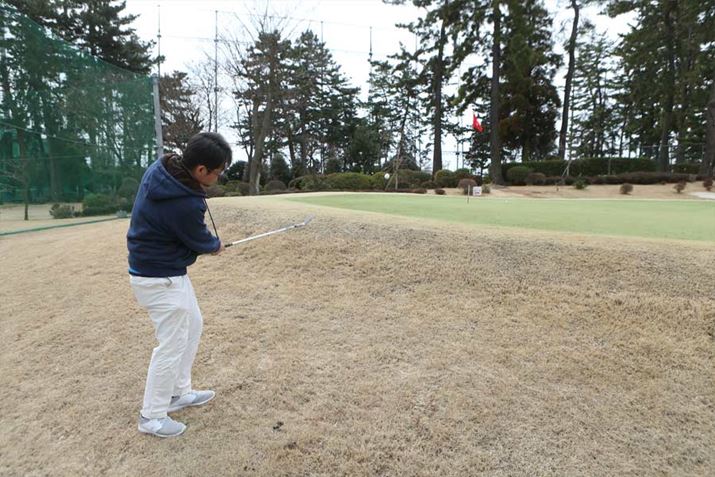 KxɊ\[ŔrICI΂A肵Av[`₷łBʓIȓ{̃StłSBō邱Ƃ͂Ȃ