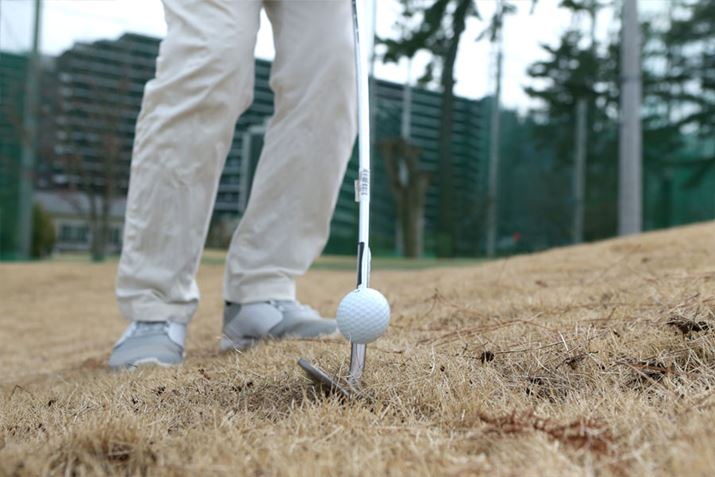 SfނāA\tgłG̑Ŋ𖡂킦܂B{[|Ɣяo悤ȊGȂAtB[Oo₷ł