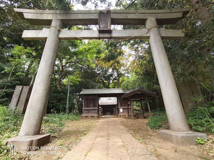 _Ђ]ލ\}B؁X̗t̐FقǋĂ炸Äۂɋ߂Ƃ掿