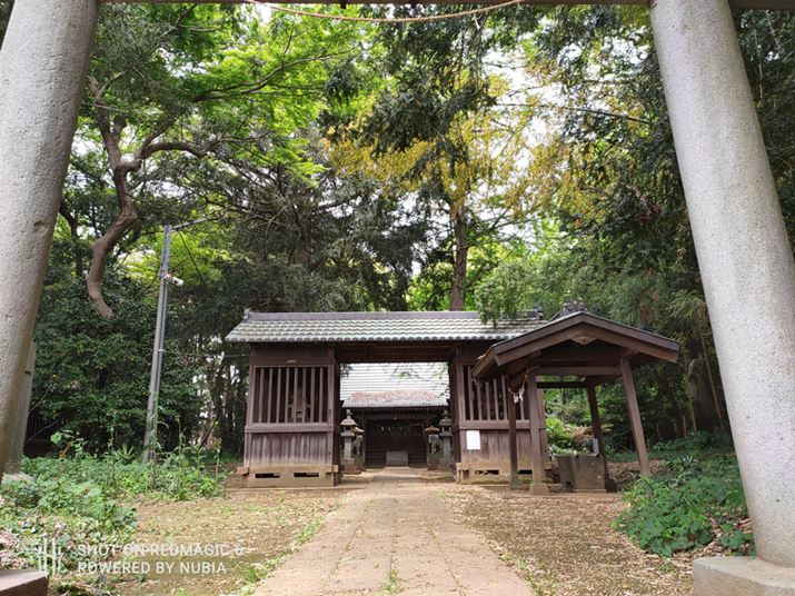 ƓꏊŁALpJɐ؂ւĎBeBF̕ω͗}ĂAƂ掿BHDR삵Ă̂nCCg̖Oa߂ŁAÍɂ͂܂苭Ȃ悤