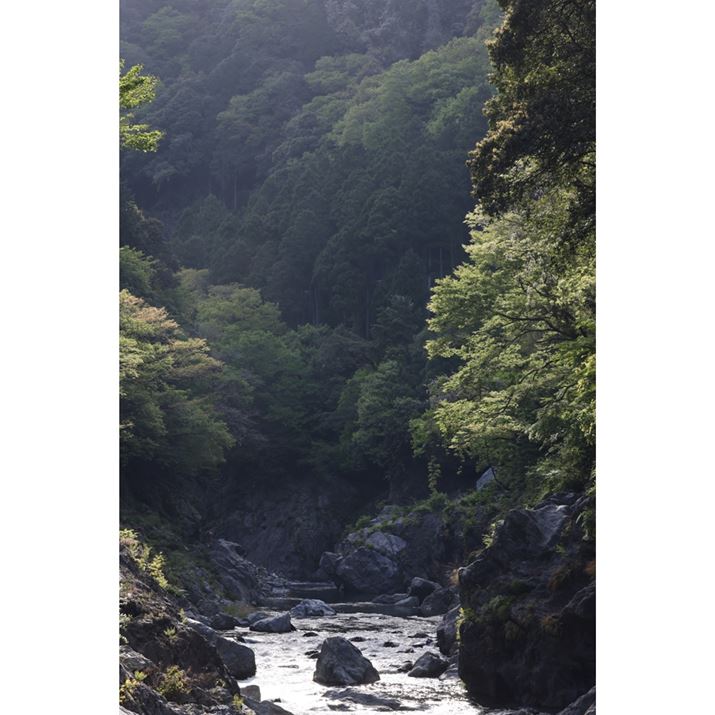 EOS R5ARF70-200mm F4 L IS USMA96mmAISO100AF11A1/50bAzCgoXFI[gi͋CDjAsN`[X^CFX^_[hAI[gCeBOIveB}CUFWAӌʕ␳FAcȎ␳FȂAfW^YIveB}CUFiWjAJPEGBeʐ^i5464×8192A18.9MBj