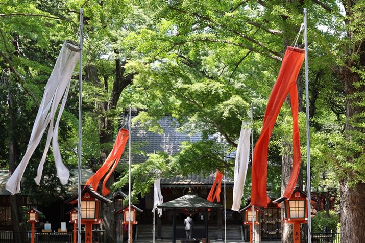 EOS R5ARF70-200mm F4 L IS USMA70mmAISO100AF8A1/40bAzCgoXFI[gi͋CDjAsN`[X^CFX^_[hAI[gCeBOIveB}CUFWAӌʕ␳FAcȎ␳FȂAfW^YIveB}CUFiWjAJPEGBeʐ^i8192×5464A25.0MBj