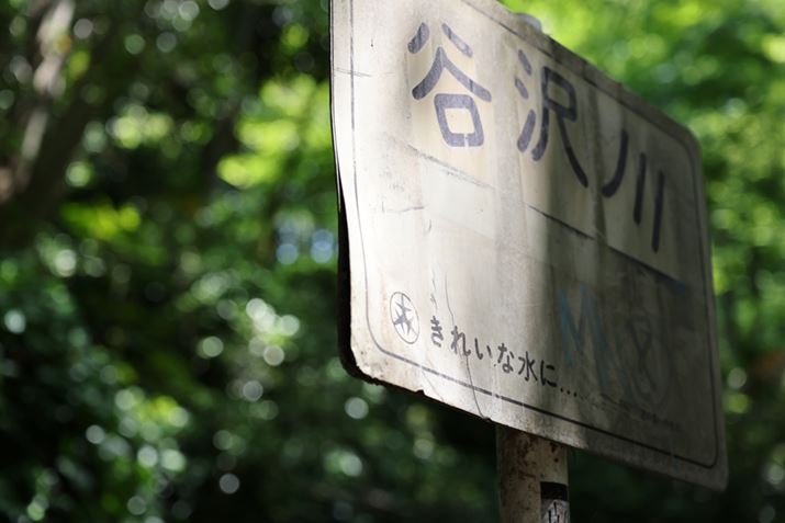 EOS R5ARF70-200mm F4 L IS USMA70mmAISO100AF4A1/125bAzCgoXFI[gi͋CDjAsN`[X^CFX^_[hAI[gCeBOIveB}CUFWAӌʕ␳FAcȎ␳FȂAfW^YIveB}CUFiWjAJPEGBeʐ^i8192×5464A9.4MBj