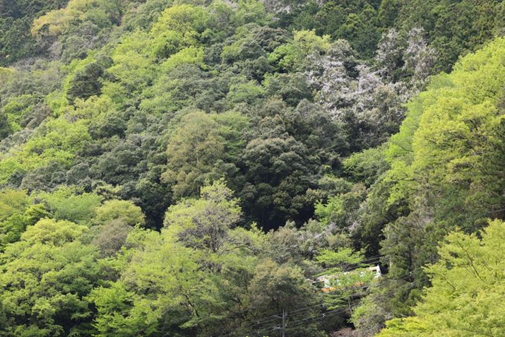 EOS R5ARF70-200mm F4 L IS USMA104mmAISO800AF8A1/400bAzCgoXFzAsN`[X^CFI[gAI[gCeBOIveB}CUFWAӌʕ␳FAcȎ␳FȂAfW^YIveB}CUFiWjAJPEGBeʐ^i8192×5464A37.6MBj