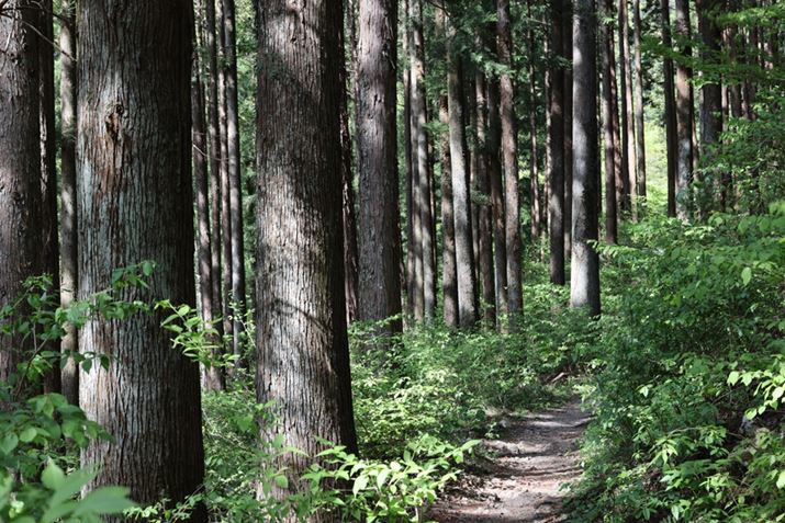 EOS R5ARF70-200mm F4 L IS USMA70mmAISO100AF11A1/13bAzCgoXFI[gi͋CDjAsN`[X^CFX^_[hAI[gCeBOIveB}CUFWAӌʕ␳FAcȎ␳FȂAfW^YIveB}CUFiWjAJPEGBeʐ^i8192×5464A23.8MBj