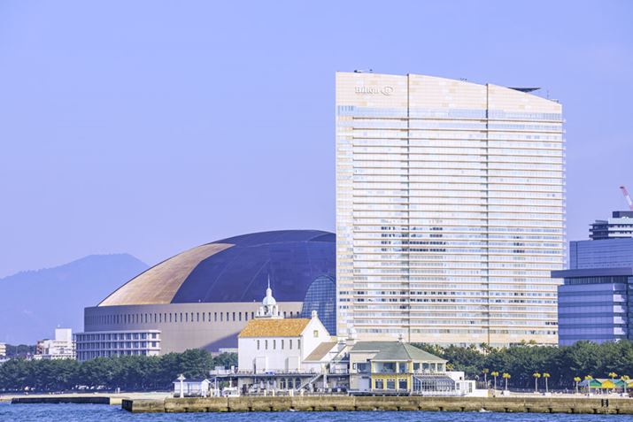 s̔p]ފCɌuqgV[z[Nv