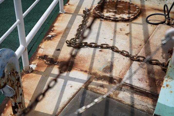 7CAFE 50mm F2.5 GAF4A1/2500bAISO100AzCgoXFI[giDݒFWjANGCeBuX^CFX^_[hADWIveB}CU[FI[gAcȎ␳FI[gA{F␳FI[gAӌ␳FI[gAJPEGBeʐ^i6000×4000A14.6MBj