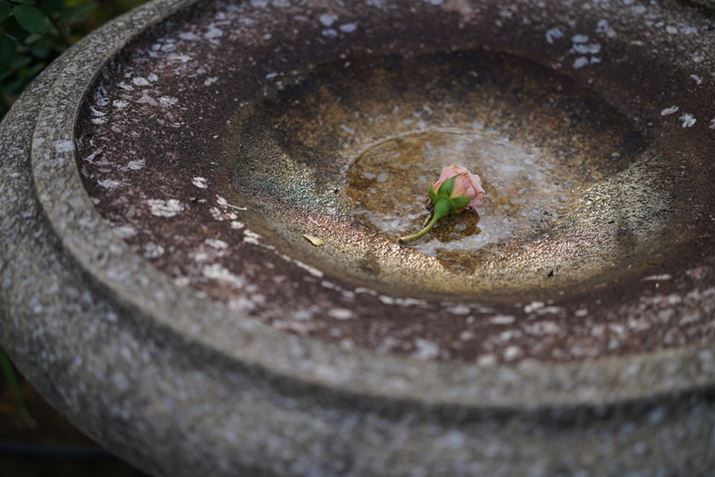 7CAFE 50mm F2.5 GAF2.5A1/500bAISO100AzCgoXFI[giDݒF͋CDjANGCeBuX^CFX^_[hADWIveB}CU[FI[gAcȎ␳FI[gA{F␳FI[gAӌ␳FI[gAJPEGBeʐ^i6000×4000A13.2MBj